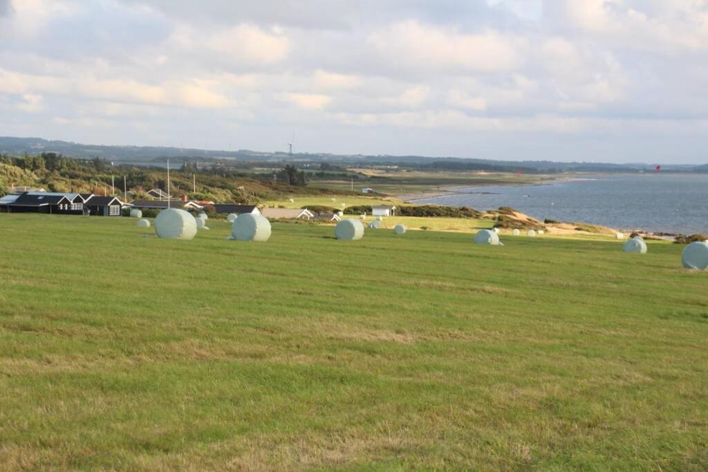 Beautiful And Amazing View - 3 Bedroom Cottage Vinderup Kültér fotó